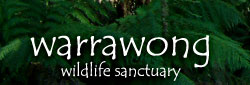 Warrawong Wildlife Park - Accommodation in Bendigo