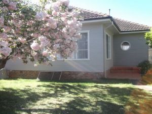 Magnolia Corner - Accommodation in Bendigo
