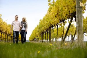 Overnight Daylesford and Macedon Ranges Gourmet Food Trail Tour from Melbourne - Accommodation in Bendigo