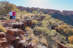 Kings Canyon Day Trip from Ayers Rock - Accommodation in Bendigo
